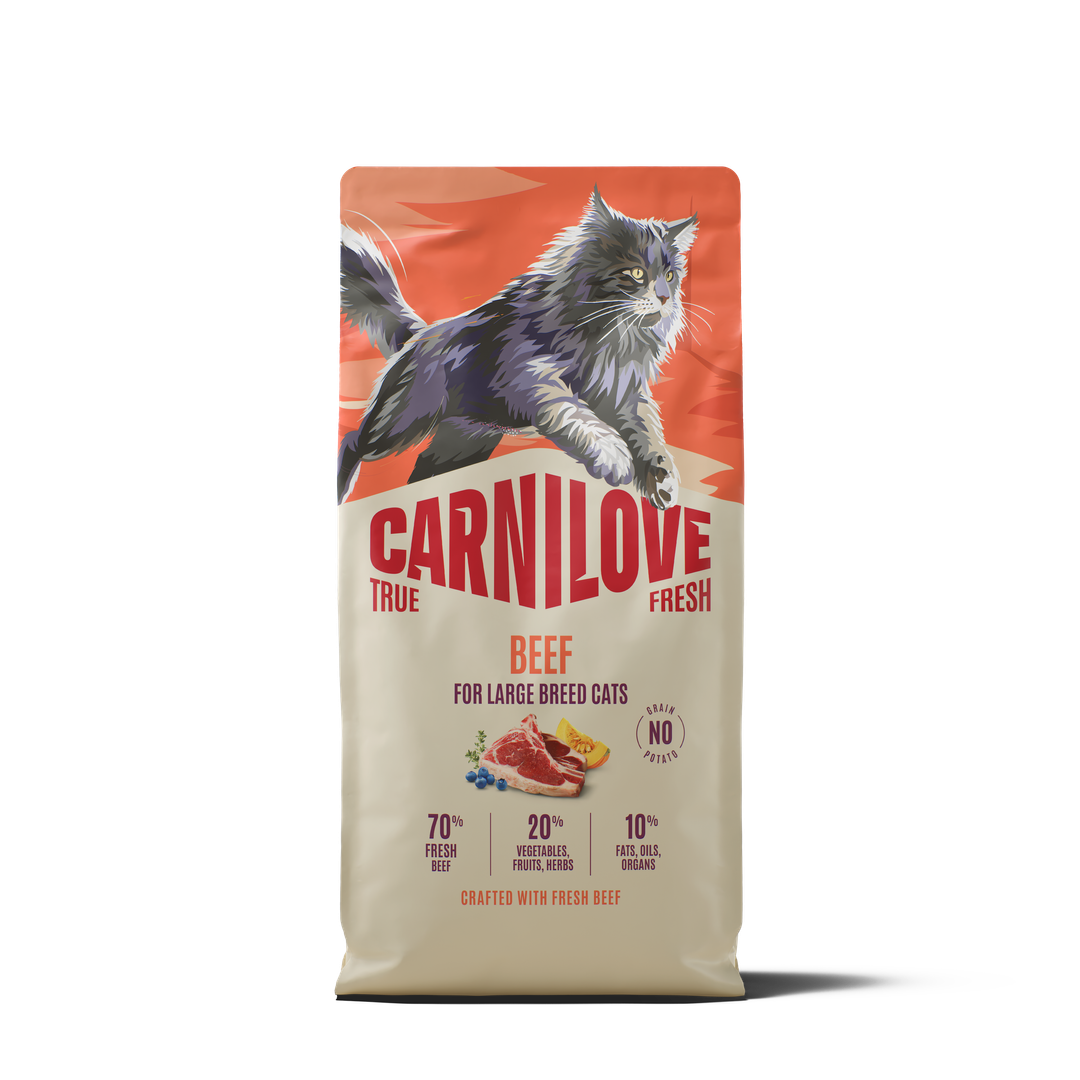 CARNILOVE TRUE FRESH Adult Large Breed Bœuf