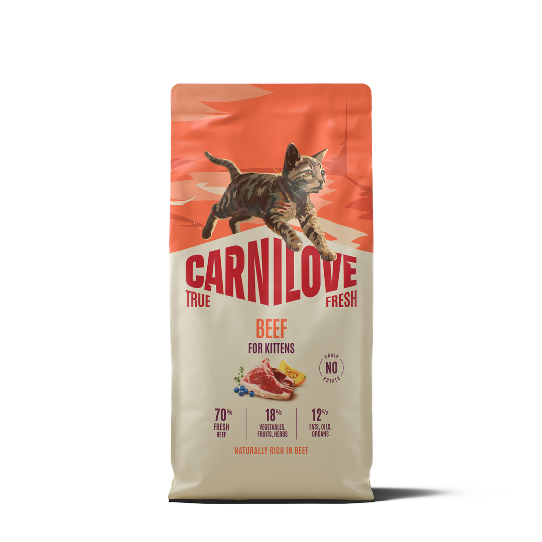 CARNILOVE TRUE FRESH Kitten Bœuf