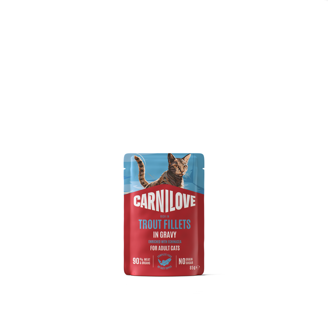 CARNILOVE Adult Truite & Échinacée en sauce 85g