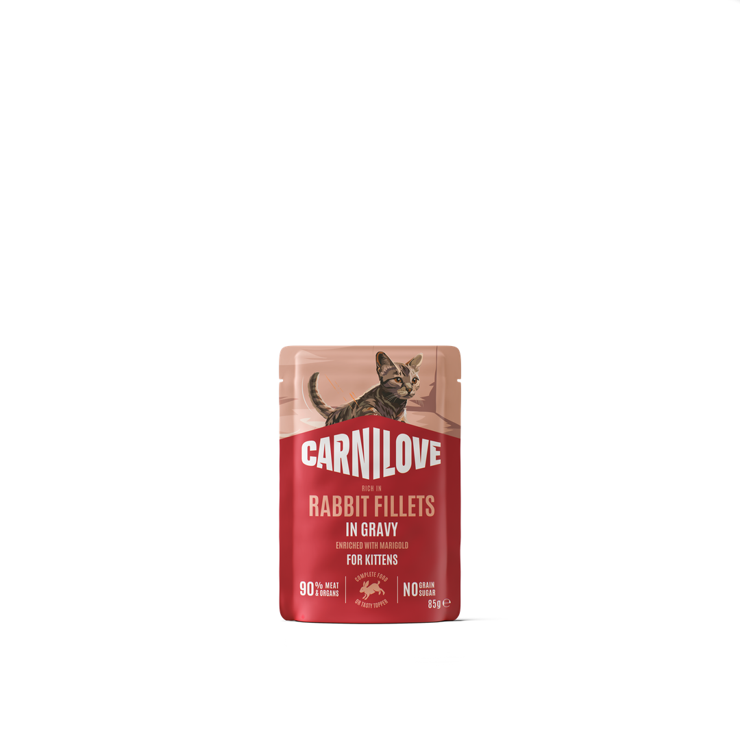 CARNILOVE Kitten Lapin & Souci en sauce 85g