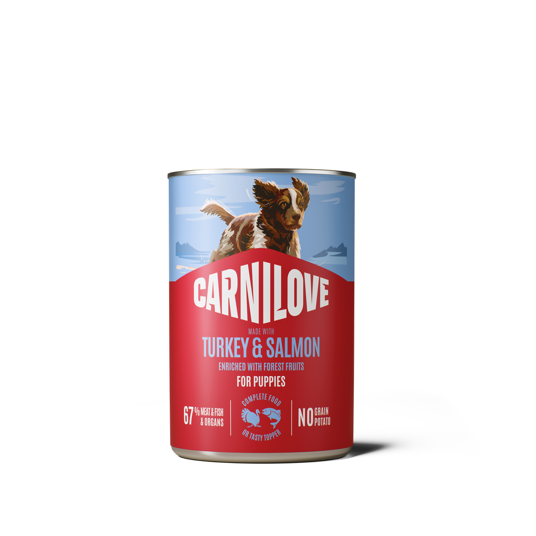 CARNILOVE Pâté Junior Dinde & Saumon 400g