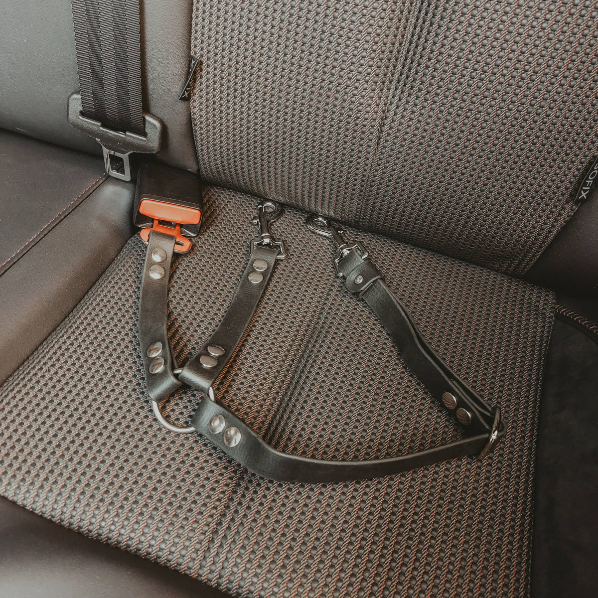 TRUFFE & FLAIR Accessoire de voiture multifonctions Biothane