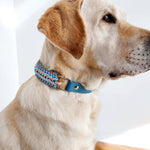 TRUFFE & FLAIR Collier tressé Biothane/Paracorde - Bleu ciel
