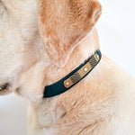 TRUFFE & FLAIR Collier Biothane Signature - Vert Sapin