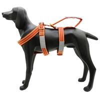 DESIGN K9 LAIT Dog Harness