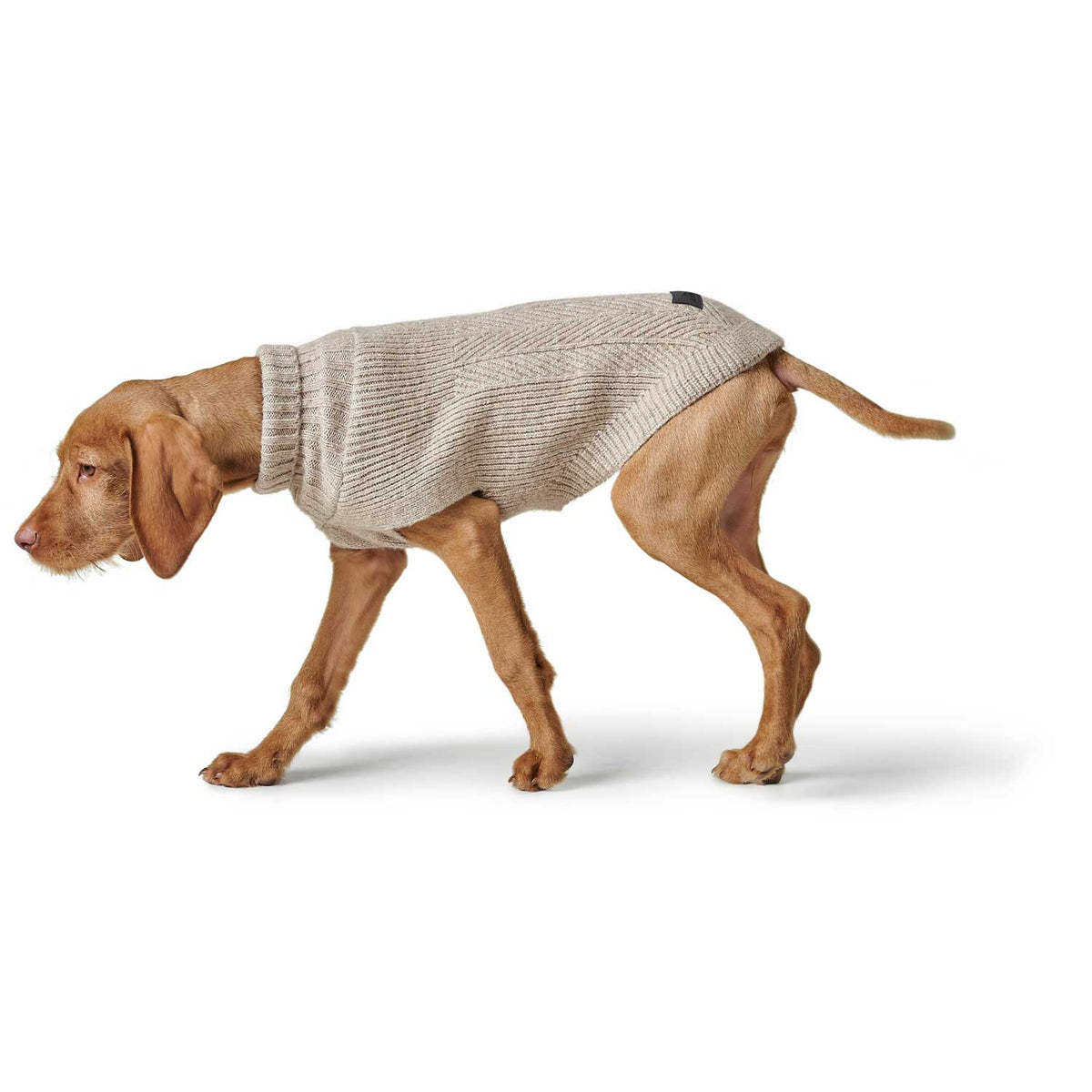HUNTER Pull Genf Beige pour chien