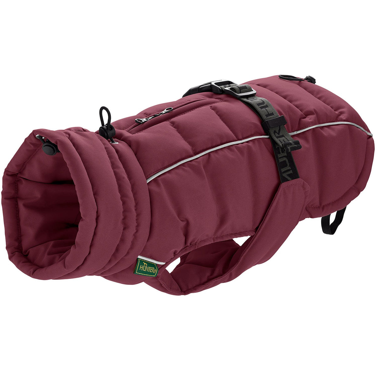 HUNTER Manteau Paxson Baie pour Teckel
