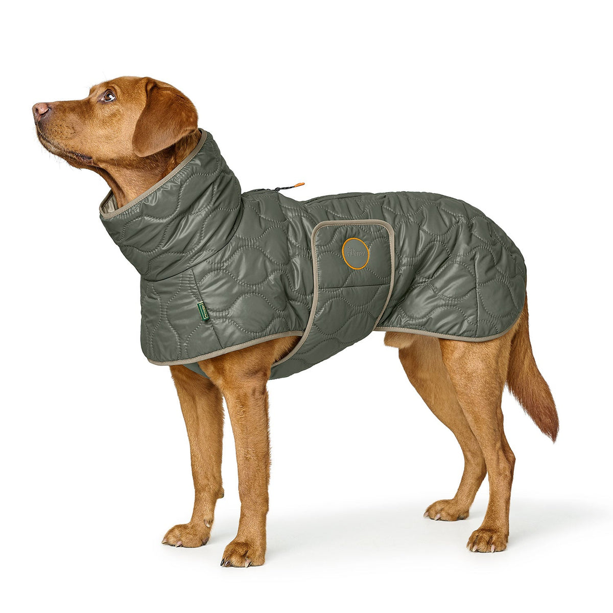 HUNTER Manteau Lundby Olive pour chien