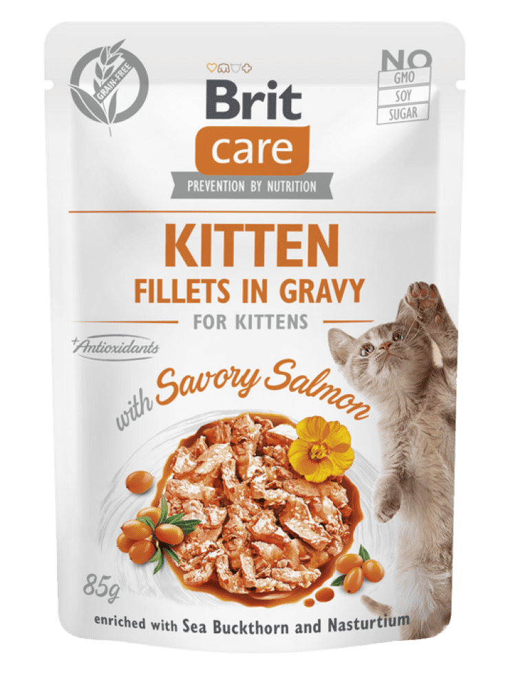 Brit Care Cat Filets Kitten au Saumon en sauce 85g