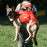 DESIGN K9 TAXI Dog Harness