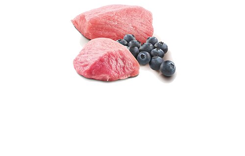 FARMINA ND Prime Lamb 70g