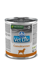 Farmina Vet Life Chien Convalescence 300g