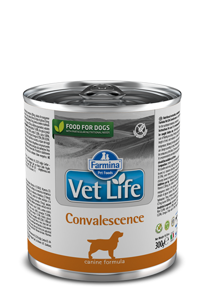 Farmina Vet Life Chien Convalescence 300g