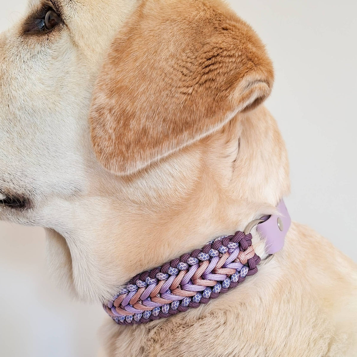 TRUFFE & FLAIR Collier tressé Biothane/Paracorde - Lilas