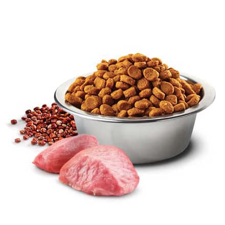 FARMINA ND Quinoa Chien Digestion Agneau