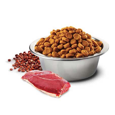 FARMINA ND Quinoa Chien Skin &amp; Coat Canard &amp; Noix de Coco