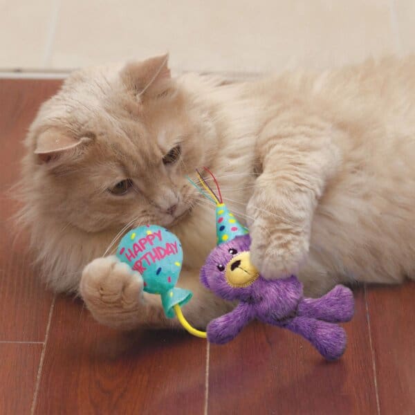KONG Cat Occasions Birthday Teddy 18cm