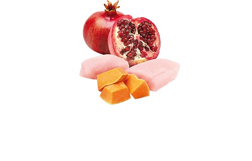 FARMINA ND Pumpkin Chicken 80g
