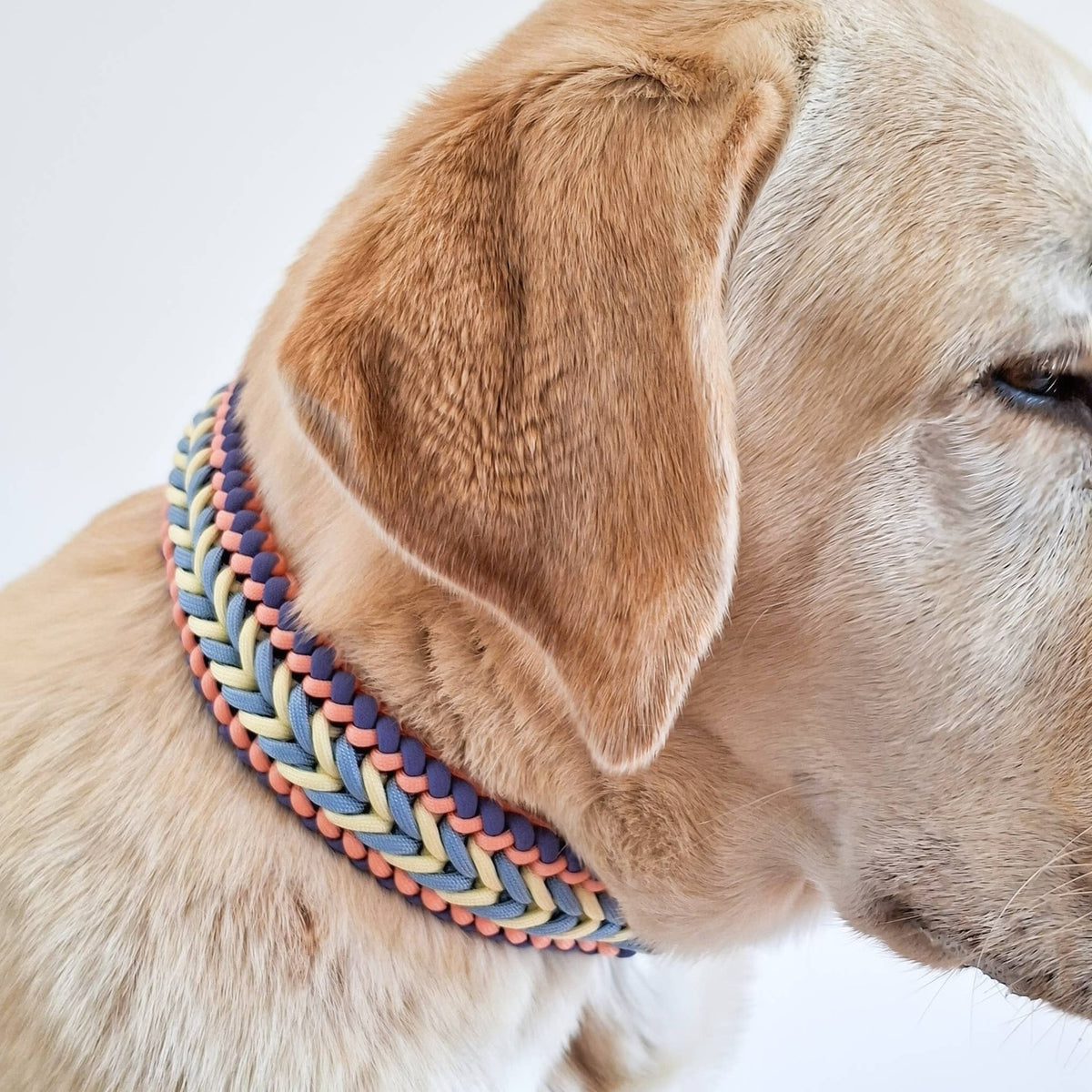 TRUFFE & FLAIR Collier tressé Biothane/Paracorde - Sunset