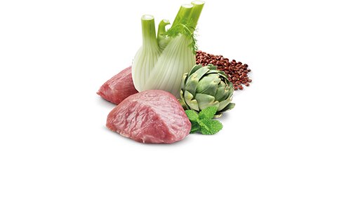 FARMINA ND Quinoa Digestion Agneau
