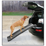 Rampe d'Auto Go In pour chiens