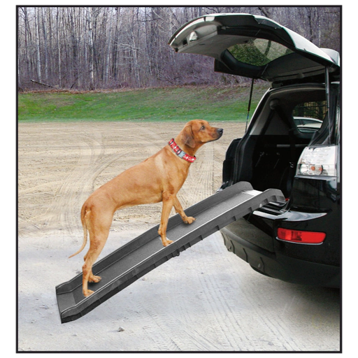 Rampe d'Auto Go In pour chiens