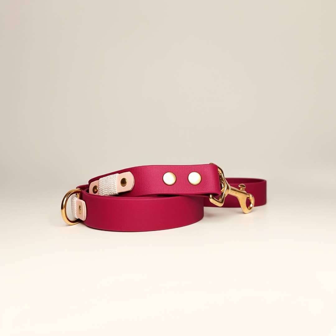TRUFFE & FLAIR Laisse Biothane Signature - Framboise
