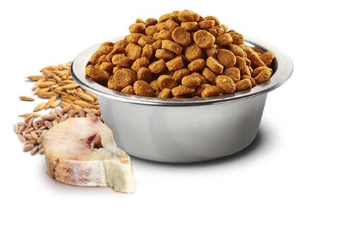 FARMINA N&D Ocean Cod & Spelt Grain Free Mini Dog Food
