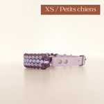 TRUFFE & FLAIR Collier petit chien XS Biothane/Paracorde - Lilas