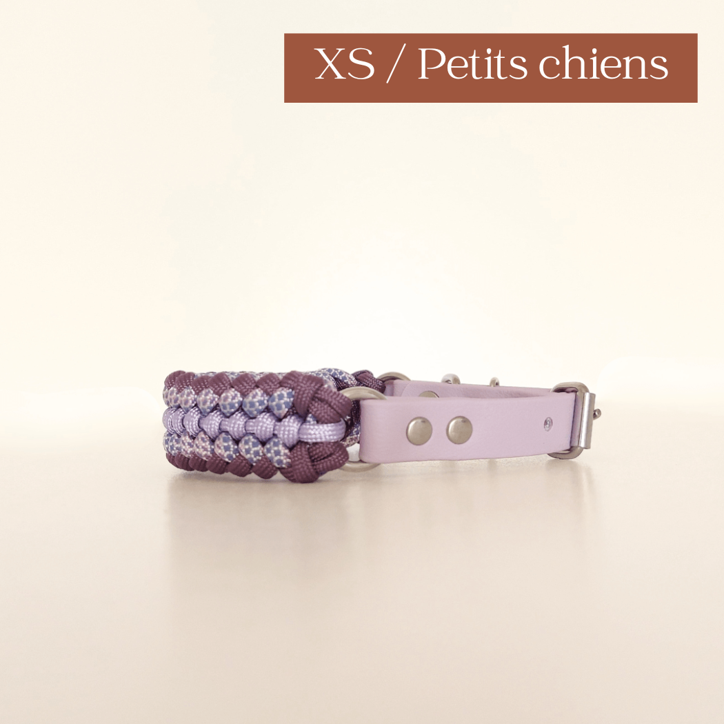 TRUFFE & FLAIR Collier petit chien XS Biothane/Paracorde - Lilas