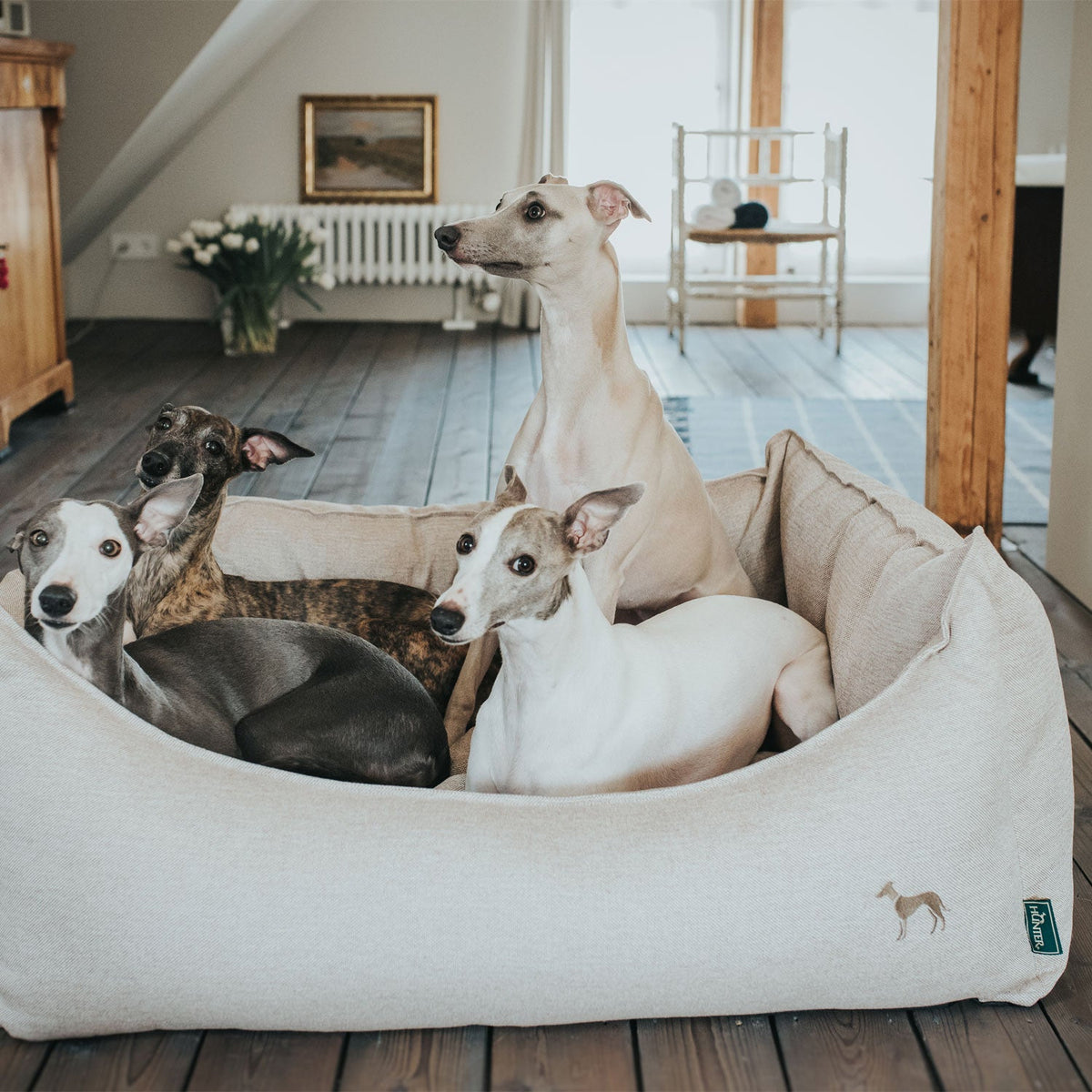 HUNTER Sofa LIVINGSTON avec chien