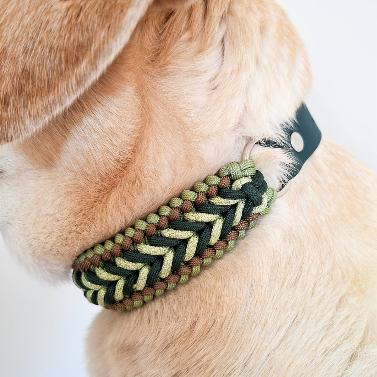 TRUFFE & FLAIR Collier tressé Biothane/Paracorde - Vert