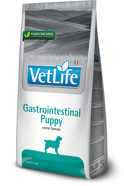 FARMINA Vet Life Chien Gastrointestinal