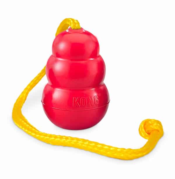 Kong Classic with Rope