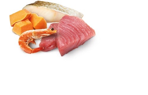 FARMINA ND Ocean Tuna & Pumpkin Kitten 70g