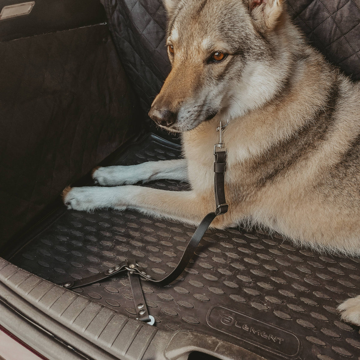 TRUFFE & FLAIR Accessoire de voiture multifonctions Biothane