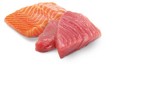 Farmina ND Ocean Tuna & Salmon 70g