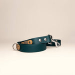 TRUFFE & FLAIR Laisse Biothane Signature - Forest