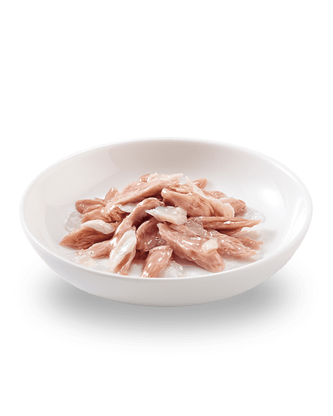 SCHESIR Sachet Gelée Thon Bar 85g