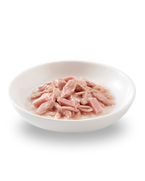 SCHESIR Boîte Gelée Thon Jambon 140g