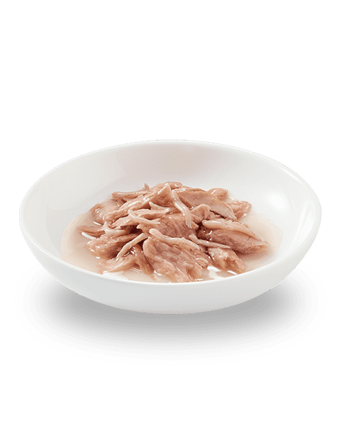 SCHESIR Boîte Thon au Naturel 85g