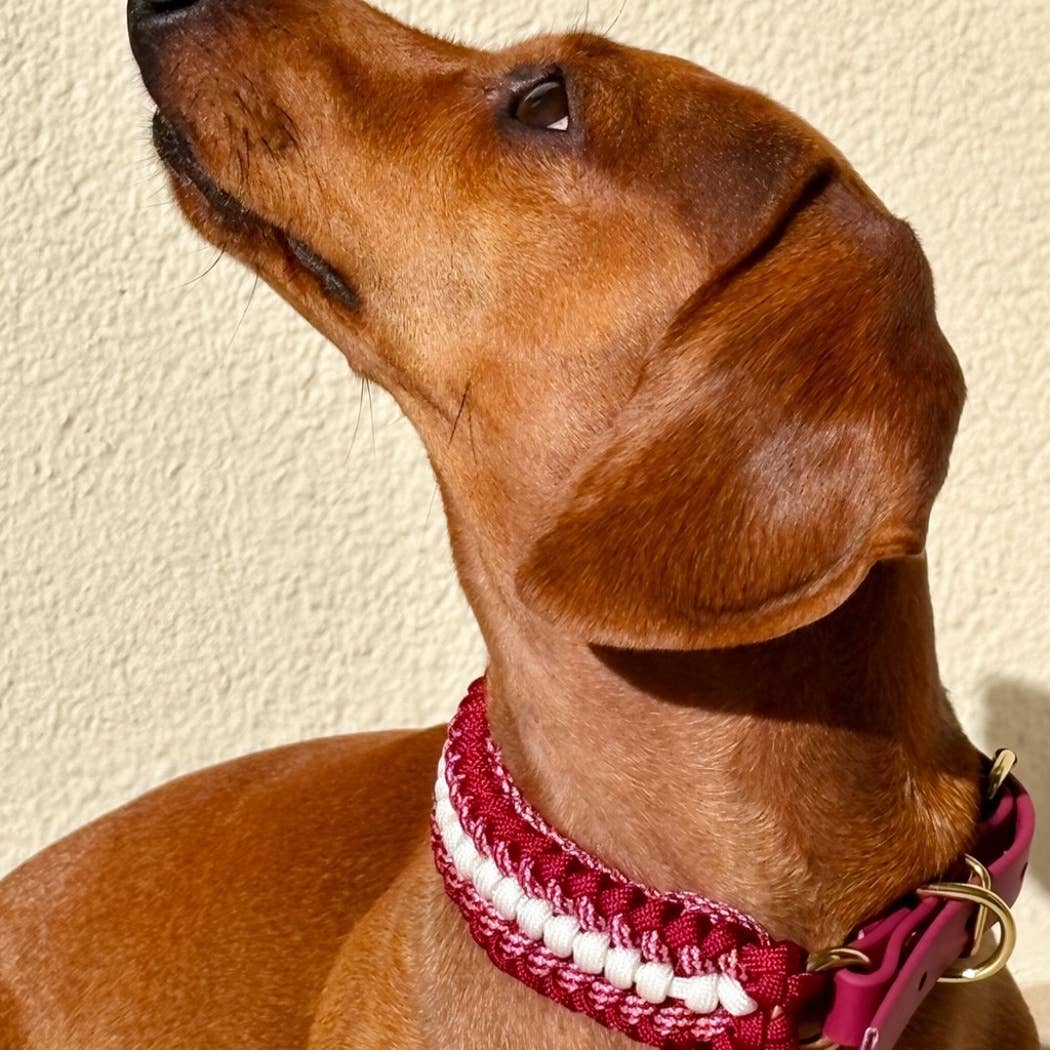 TRUFFE & FLAIR Collier petit chien XS Biothane/Paracorde - Framboise