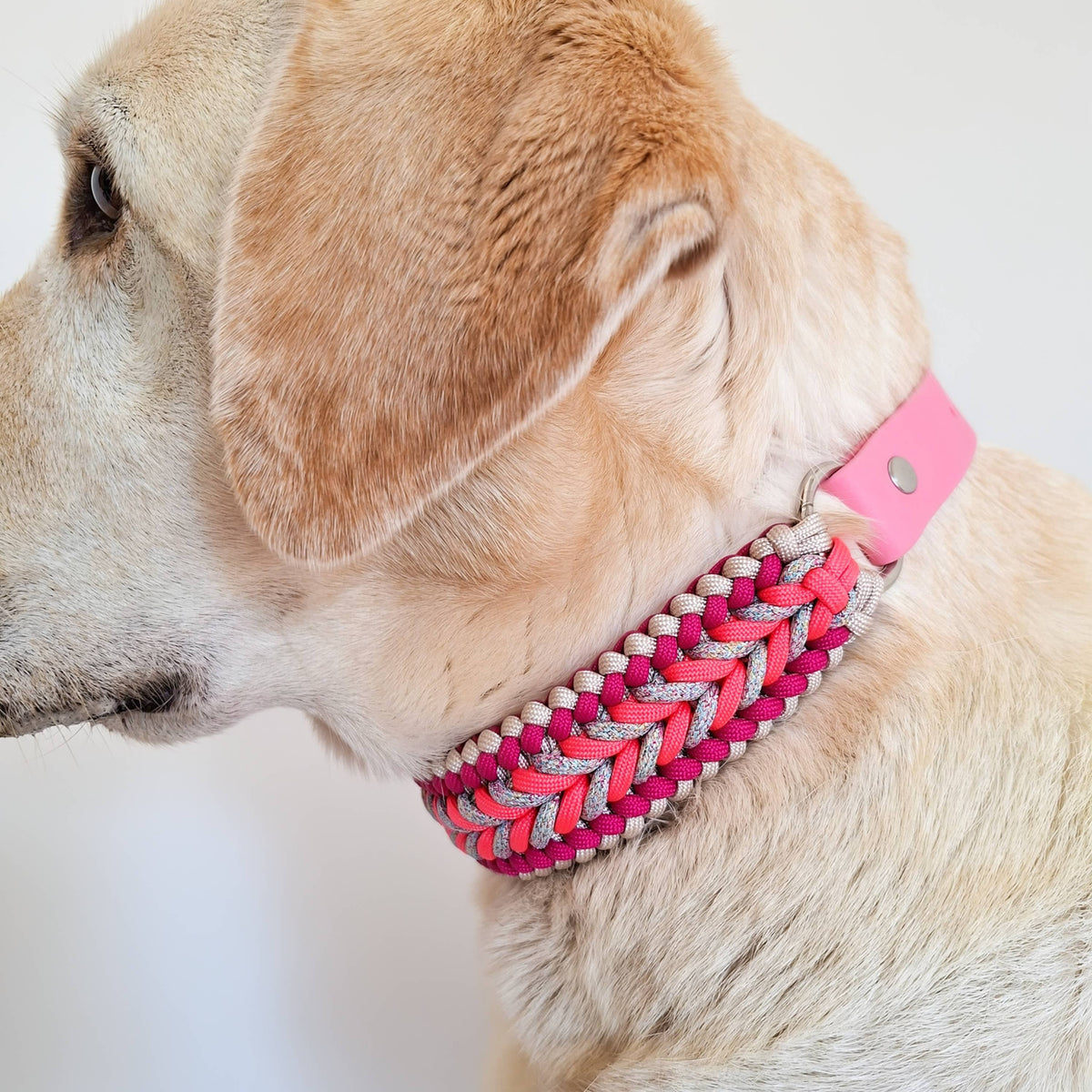 TRUFFE & FLAIR Collier tressé Biothane/Paracorde - Rose