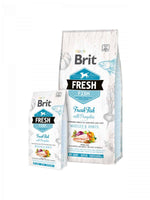 Brit Fresh Dog Adulte au Poisson pour des Muscles & Articulations