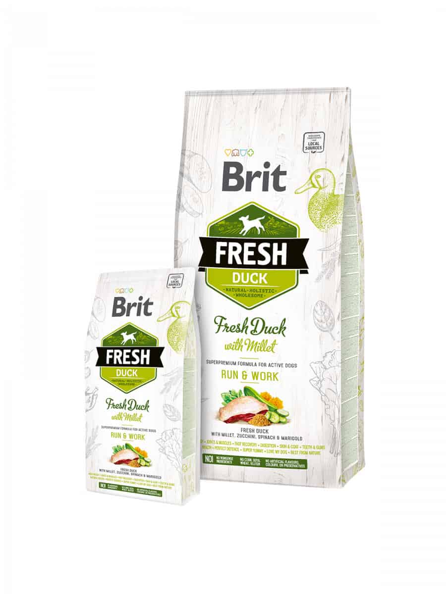 Brit Fresh Dog Chiens Actifs au Canard Courir et Travailler