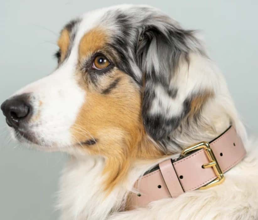ASTRE PARIS Le Monceau Pink Leather Necklace