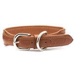 Collier pour chien KINAKÚ AMBAR