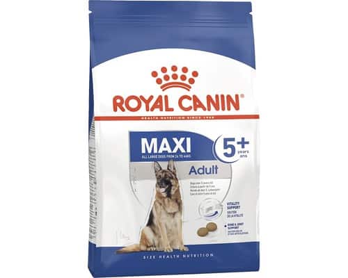 ROYAL CANIN Maxi Ageing 5+