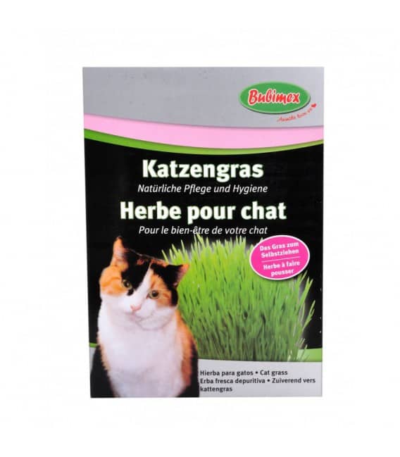BUBIMEX Herbe à Chat "NEW" 100g
