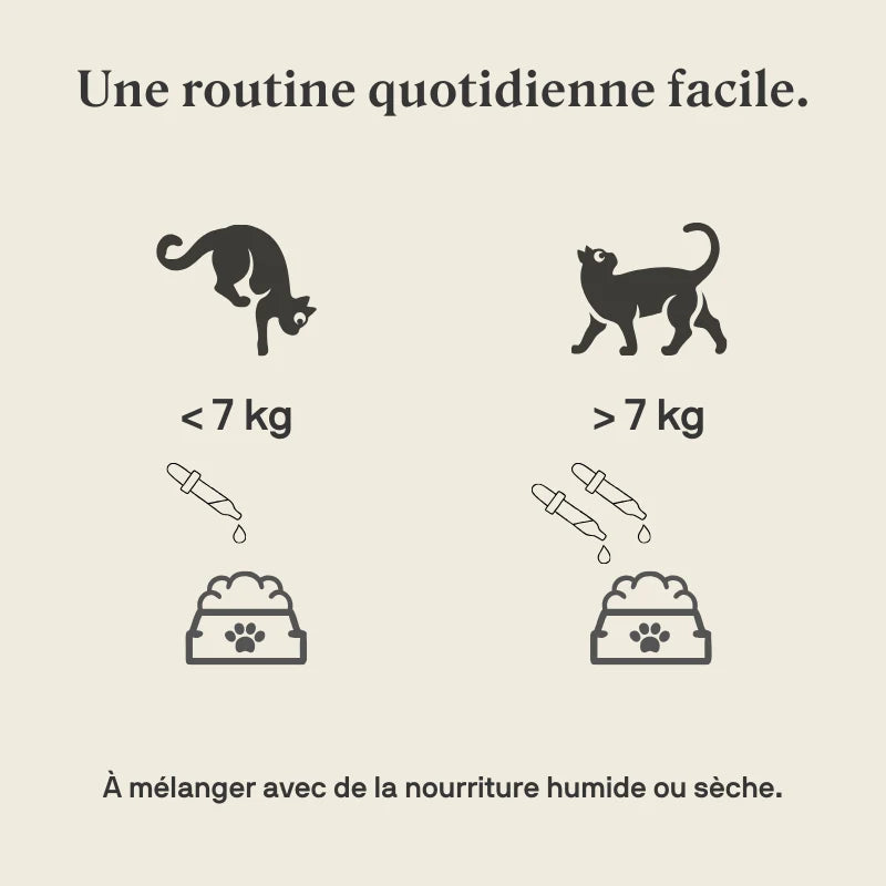 STYLLA CALMNESS - Complément apaisant pour chats